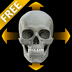 Skull - Spinning 3D Anatomy Free